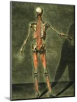 Deep Muscular System of the Back of the Body-Arnauld Eloi Gautier D'agoty-Mounted Giclee Print