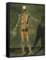 Deep Muscular System of the Back of the Body-Arnauld Eloi Gautier D'agoty-Framed Stretched Canvas