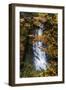 Deep Oregon Waterfall in Autumn, Forest Fall Color and Waterr Flow-Vincent James-Framed Photographic Print