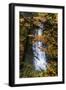 Deep Oregon Waterfall in Autumn, Forest Fall Color and Waterr Flow-Vincent James-Framed Photographic Print