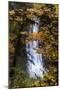 Deep Oregon Waterfall in Autumn, Forest Fall Color and Waterr Flow-Vincent James-Mounted Photographic Print