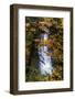 Deep Oregon Waterfall in Autumn, Forest Fall Color and Waterr Flow-Vincent James-Framed Photographic Print