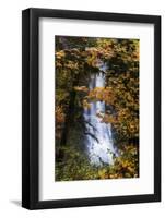 Deep Oregon Waterfall in Autumn, Forest Fall Color and Waterr Flow-Vincent James-Framed Photographic Print