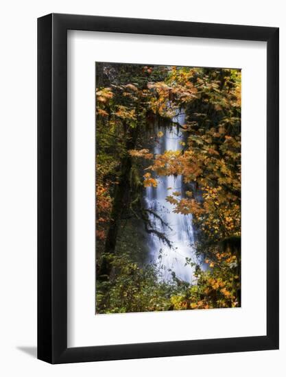 Deep Oregon Waterfall in Autumn, Forest Fall Color and Waterr Flow-Vincent James-Framed Photographic Print