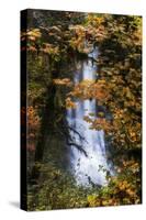 Deep Oregon Waterfall in Autumn, Forest Fall Color and Waterr Flow-Vincent James-Stretched Canvas