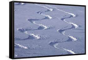 Deep Powder Snow, Ski Traces, Tyrol, Austria-Norbert Eisele-Hein-Framed Stretched Canvas