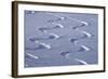 Deep Powder Snow, Ski Traces, Tyrol, Austria-Norbert Eisele-Hein-Framed Photographic Print