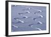 Deep Powder Snow, Ski Traces, Tyrol, Austria-Norbert Eisele-Hein-Framed Photographic Print