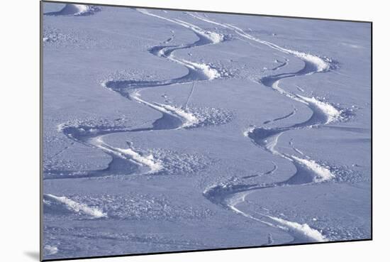 Deep Powder Snow, Ski Traces, Tyrol, Austria-Norbert Eisele-Hein-Mounted Photographic Print