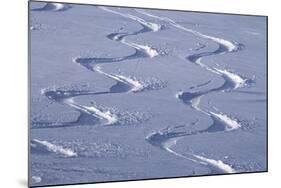 Deep Powder Snow, Ski Traces, Tyrol, Austria-Norbert Eisele-Hein-Mounted Photographic Print
