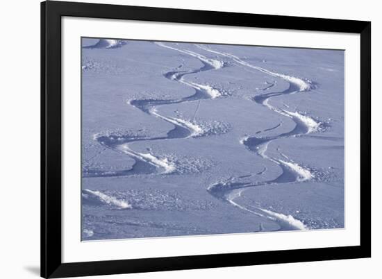 Deep Powder Snow, Ski Traces, Tyrol, Austria-Norbert Eisele-Hein-Framed Photographic Print