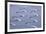 Deep Powder Snow, Ski Traces, Tyrol, Austria-Norbert Eisele-Hein-Framed Photographic Print