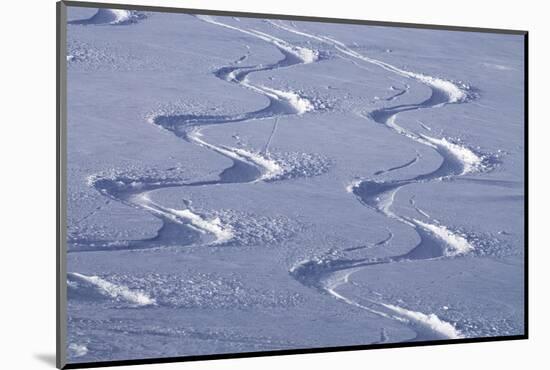 Deep Powder Snow, Ski Traces, Tyrol, Austria-Norbert Eisele-Hein-Mounted Photographic Print