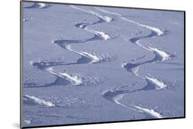 Deep Powder Snow, Ski Traces, Tyrol, Austria-Norbert Eisele-Hein-Mounted Photographic Print