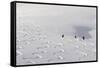 Deep Powder Snow, Skiing, Tyrol, Austria-Norbert Eisele-Hein-Framed Stretched Canvas