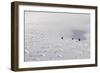 Deep Powder Snow, Skiing, Tyrol, Austria-Norbert Eisele-Hein-Framed Photographic Print