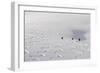 Deep Powder Snow, Skiing, Tyrol, Austria-Norbert Eisele-Hein-Framed Photographic Print