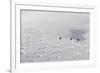 Deep Powder Snow, Skiing, Tyrol, Austria-Norbert Eisele-Hein-Framed Photographic Print