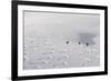 Deep Powder Snow, Skiing, Tyrol, Austria-Norbert Eisele-Hein-Framed Photographic Print