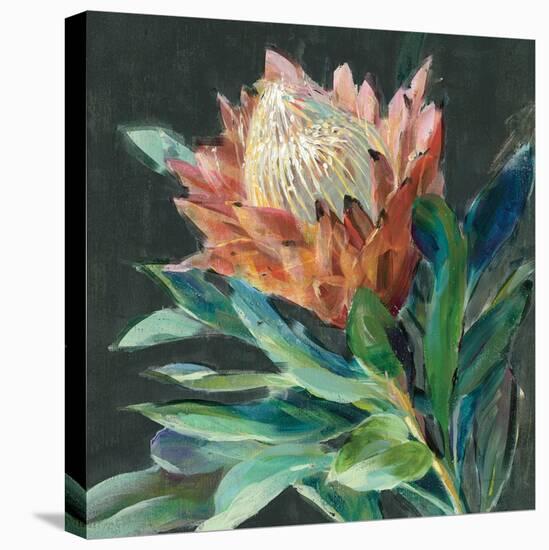 Deep Protea Crop-Danhui Nai-Stretched Canvas