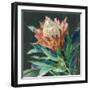 Deep Protea Crop-Danhui Nai-Framed Art Print