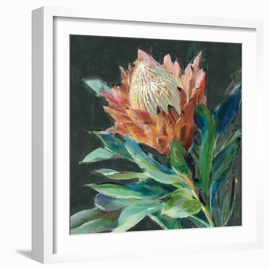 Deep Protea Crop-Danhui Nai-Framed Art Print