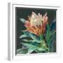 Deep Protea Crop-Danhui Nai-Framed Art Print