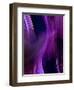 Deep Purple Mist-Ruth Palmer-Framed Art Print