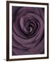 Deep Purple Rose-Clive Nichols-Framed Photographic Print