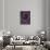 Deep Purple Rose-Clive Nichols-Mounted Photographic Print displayed on a wall