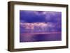 Deep purple-Marco Carmassi-Framed Photographic Print