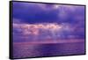 Deep purple-Marco Carmassi-Framed Stretched Canvas