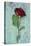 Deep Red Rose-Den Reader-Stretched Canvas