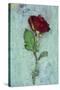 Deep Red Rose-Den Reader-Stretched Canvas