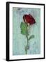 Deep Red Rose-Den Reader-Framed Photographic Print