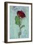 Deep Red Rose-Den Reader-Framed Photographic Print