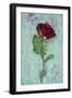 Deep Red Rose-Den Reader-Framed Photographic Print