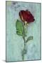 Deep Red Rose-Den Reader-Mounted Photographic Print