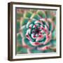 Deep Red Tips-Jan Bell-Framed Photographic Print