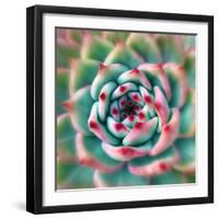 Deep Red Tips-Jan Bell-Framed Photographic Print