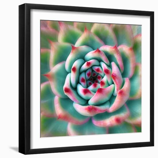 Deep Red Tips-Jan Bell-Framed Photographic Print