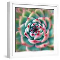 Deep Red Tips-Jan Bell-Framed Photographic Print