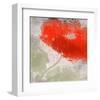 Deep Red-Irena Orlov-Framed Art Print