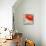 Deep Red-Irena Orlov-Mounted Art Print displayed on a wall