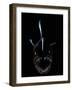 Deep Sea Anglerfish, Female with Lure Projecting from Head to Attract Prey, Atlantic Ocean-David Shale-Framed Photographic Print