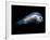 Deep Sea Anglerfish Male-David Shale-Framed Photographic Print