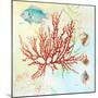 Deep Sea Coral I-Lanie Loreth-Mounted Art Print