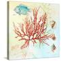 Deep Sea Coral I-Lanie Loreth-Stretched Canvas