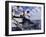 Deep Sea Fisherman Catching a Swordfish-null-Framed Photographic Print