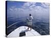 Deep Sea Fisherman-null-Stretched Canvas